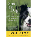 Soul of a Dog: Reflections on the Spirits of the Animals of Bedlam Farm