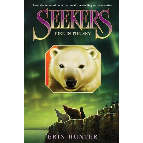 Seekers #5: Fire in the Sky