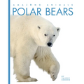 Polar Bears