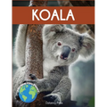 Koala: Fascinating Animal Facts for Kids