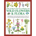 The World Encyclopedia of Wild Flowers & Flora: A Reference and Identification Guide to 1730 of the World's Most Significant Wild Plants