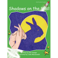 Shadows on the Wall