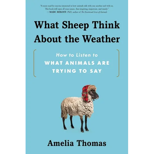 What Sheep Think about the Weather: How to Listen to What Animals Are Trying to Say