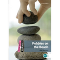 Pebbles on the Beach