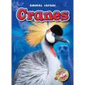 Cranes