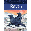 Animals Illustrated: Raven