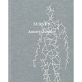 Antony Gormley: Survey