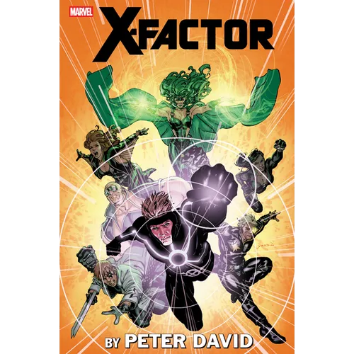X-Factor by Peter David Omnibus Vol. 4 David Yardin Cover - Hardcover