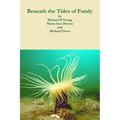 Beneath the Tides of Fundy