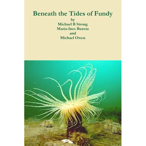 Beneath the Tides of Fundy
