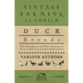 Duck Breeds - With Information on the White Aylesbury, the Rouen, the Muscovy and Other Breeds of Duck