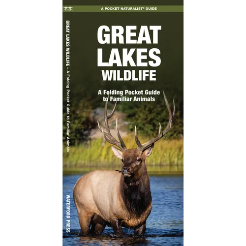 Great Lakes Wildlife: A Folding Pocket Guide to Familiar Animals