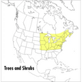 A Field Guide to Trees and Shrubs: Northeastern and North-Central United States and Southeastern and South-Central Canada