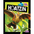 Hoatzin