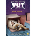 Storm Rescue