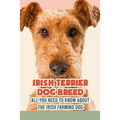 Irish Terrier Dog Breed: All You Need to Know about The Irish Farming Dog: Facts about The Rollicking Terriers of Ireland