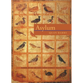 Asylum