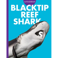 Curious about Blacktip Reef Sharks