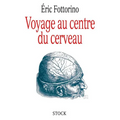 Voyage au centre du cerveau