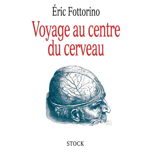 Voyage au centre du cerveau