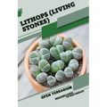 Lithops (Living Stones): Open terrarium, Beginner's Guide