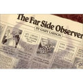 The Far Side(r) Observer