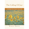 The Calling of Joy!: Unfolding Your Soul in Your Life
