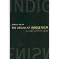 The Origins of Indigenism: Human Rights and the Politics of Identity