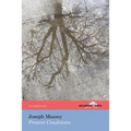 Present Conditions (the Hollyridge Press Chapbook Series)