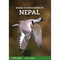 Where to Watch Birds in Nepal