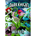The Dark Knight: Danger on Deck!