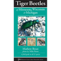 Tiger Beetles of Minnesota, Wisconsin & Michigan