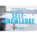 Self-Knowledge in 40 Images: The Art of Self-Understanding