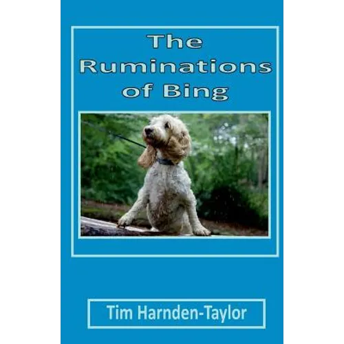 The Ruminations of Bing: Lines From My Forehead 3