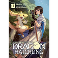 Reincarnated as a Dragon Hatchling (Light Novel) Vol. 1