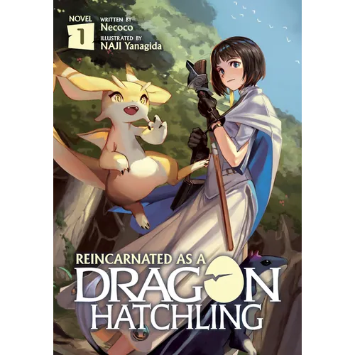 Reincarnated as a Dragon Hatchling (Light Novel) Vol. 1
