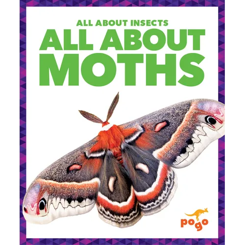 All about Moths