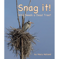 Snag It: Who Needs a Dead Tree?