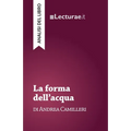 La forma dell'acqua - Andrea Camilleri (analisi del libro)