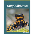 Amphibians