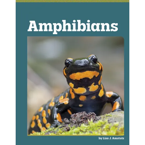 Amphibians
