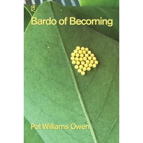 Bardo of Becoming