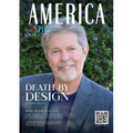 America Inspire Mag - Volume 9, Issue 13