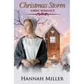 Christmas Storm