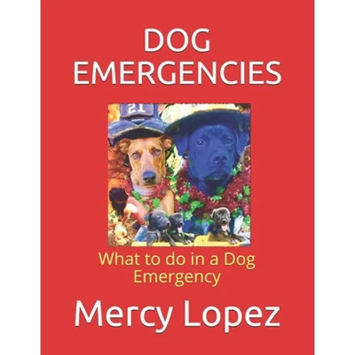Dog Emergencies: What to do in a Dog Emergency