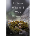 I Grew Where I Was Planted