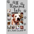 A Thousand Tails