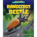 Rhinoceros Beetle