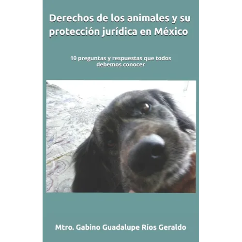 Derechos de los animales y su protección jurídica en México: 10 preguntas y respuestas que todos debemos conocer