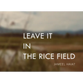 Leave It in the Rice Field